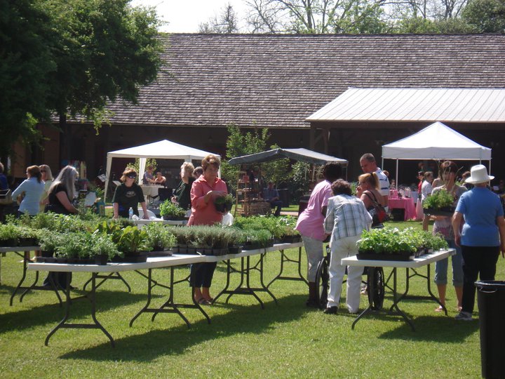 Herb Day Tables