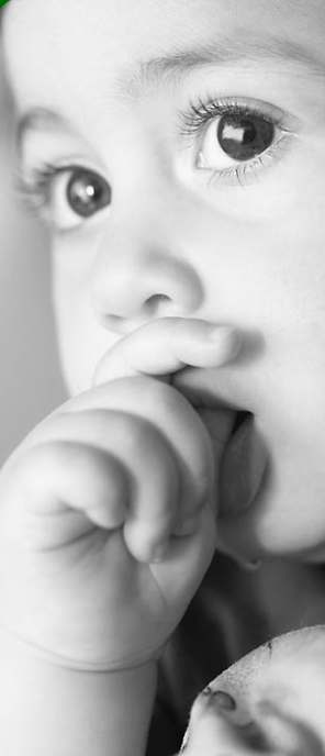Lead-Safe Information and Resources
