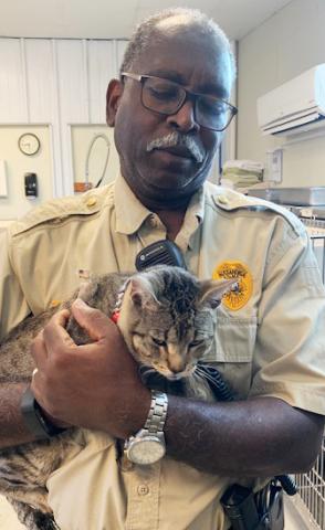 Alexandria Animal Shelter Superintendent Henry Wimbley holds Selina, a tabby cat evacuated with her owners from Metairie, LA. The shelter is caring for evacuated pets whose owners ended up having to stay at locations that could not accommodate their pets.